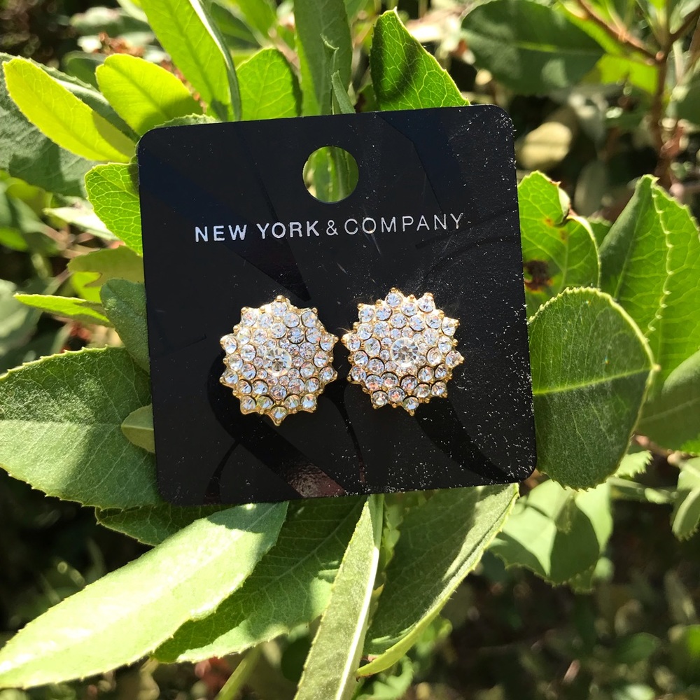 Sparkling Earrings 🌟